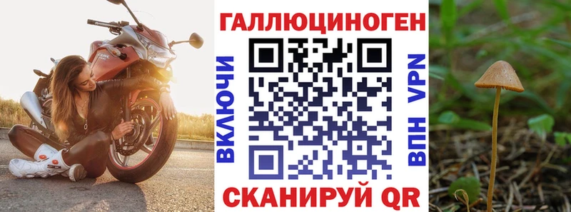 Псилоцибиновые грибы Psilocybine cubensis  что такое   Козловка 